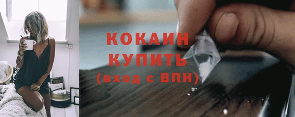 бошки Лагань