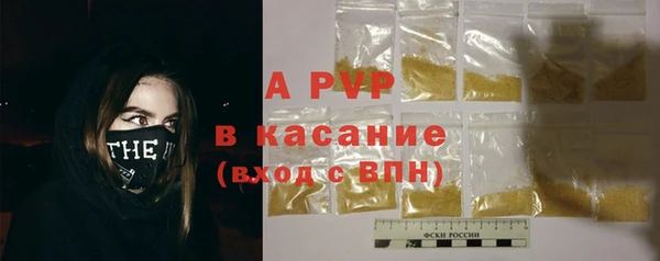 гашик Лабытнанги
