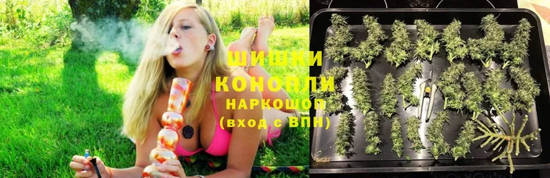 Марихуана White Widow  Ковылкино 